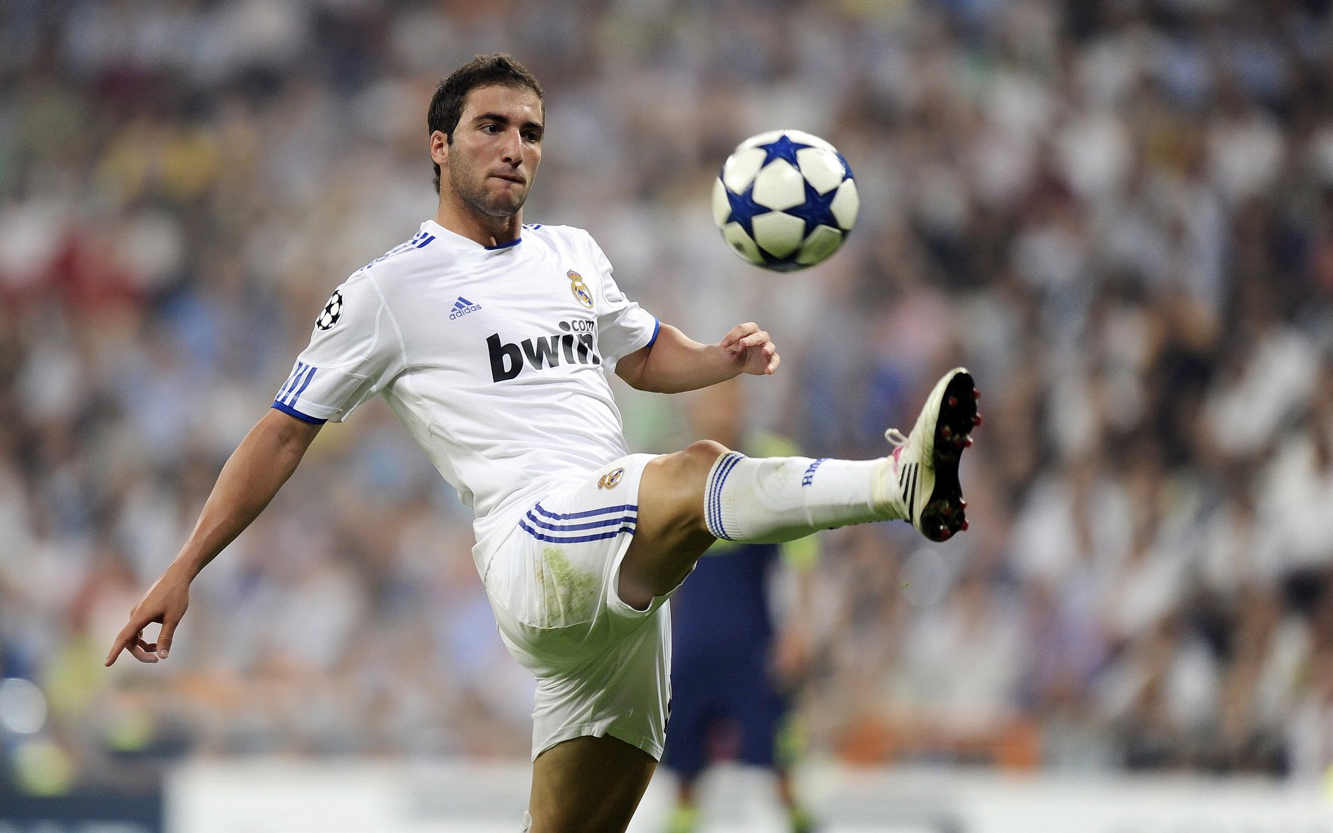 “天灾挑战：暴雨雪雹中的赛场勇士”，雪暴灾害